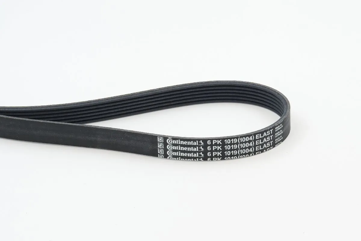 Continental 6PK1019ELAST