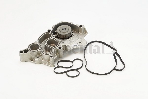 Continental WP6095