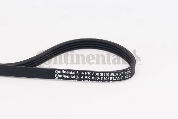 Continental 4PK830ELAST