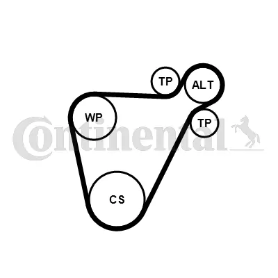 Continental 8PK954EXTRAK1
