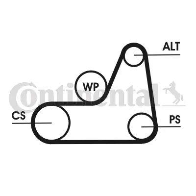 Continental 6PK1042ELAST