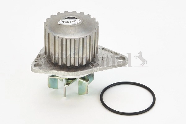 Continental WP6007