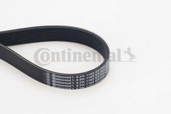 Continental 8PK1162EXTRA