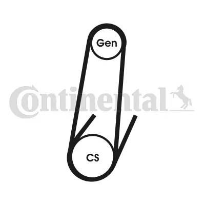 Continental 4PK592ELAST