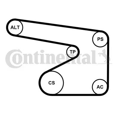 Continental 5PK1355WP1