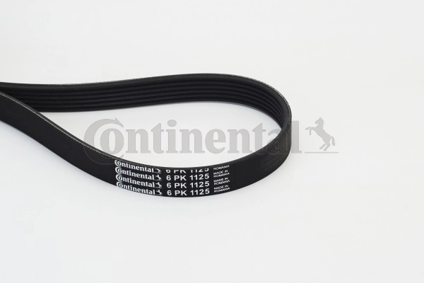 Continental 6PK1125