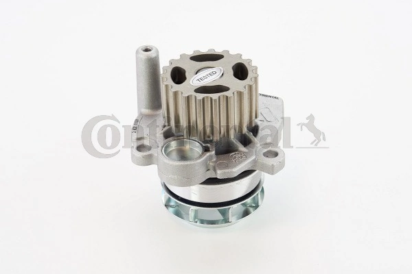 Continental WP6072