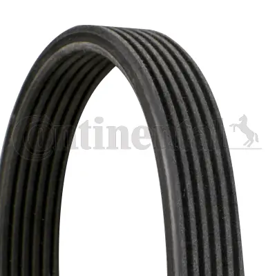 Continental 6DPK1195