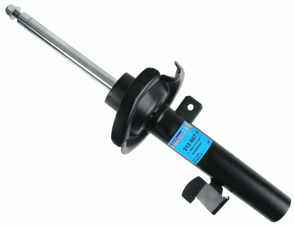SACHS 313667