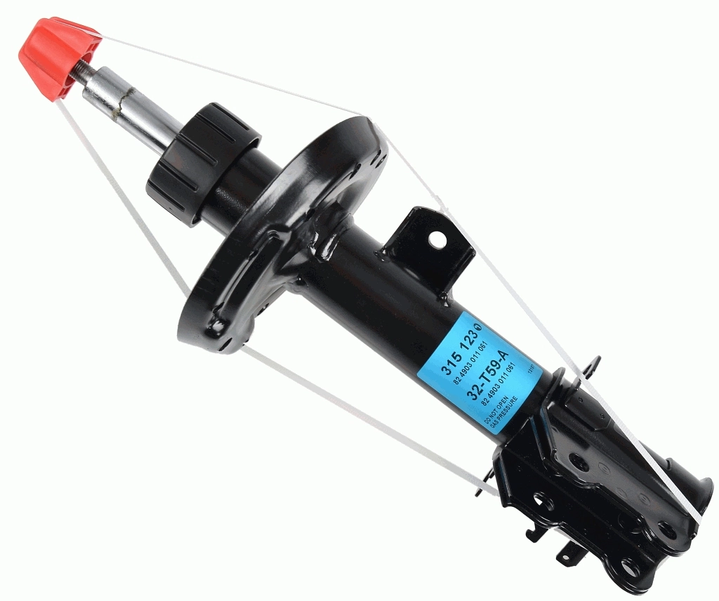 SACHS 315123