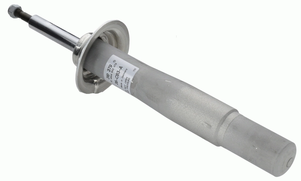 SACHS 310379