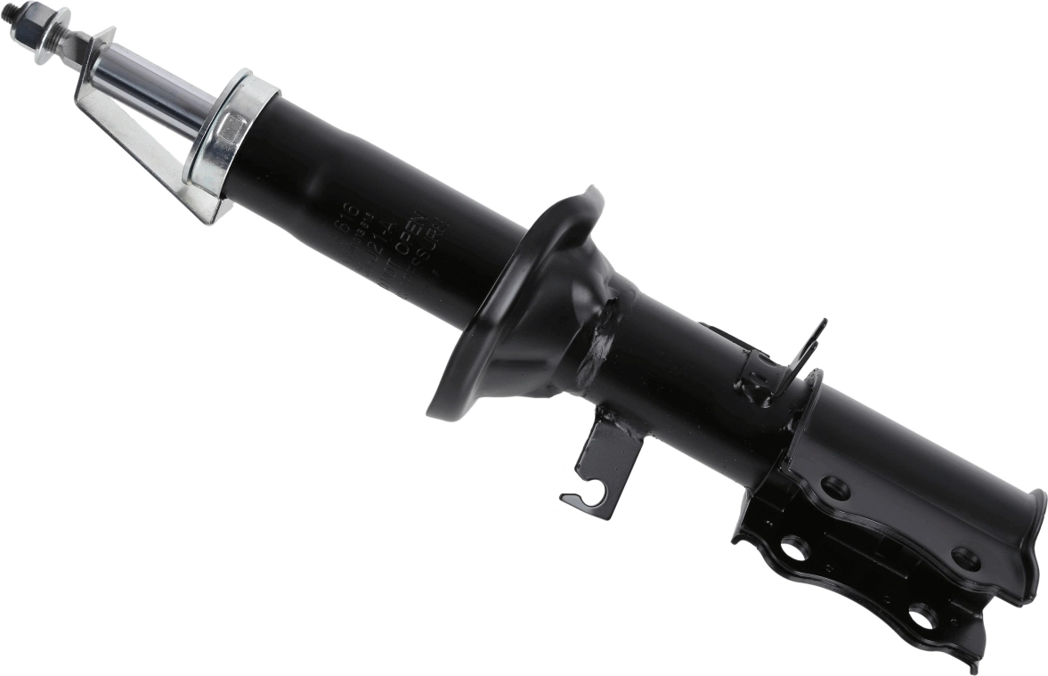 SACHS 313616