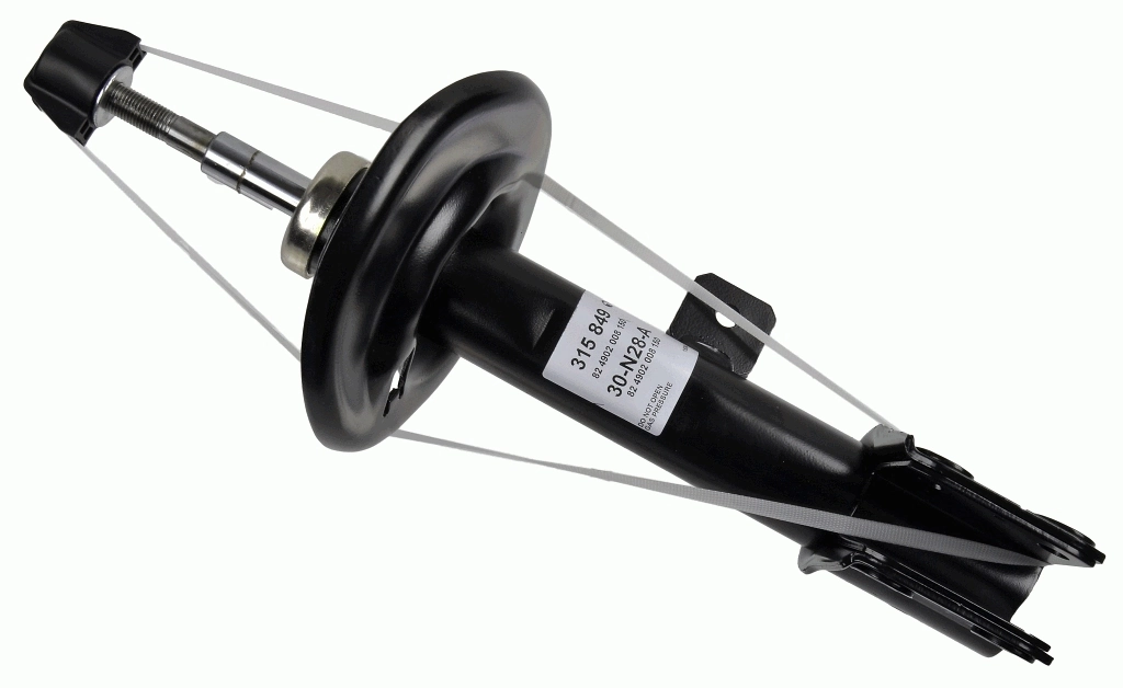 SACHS 315849