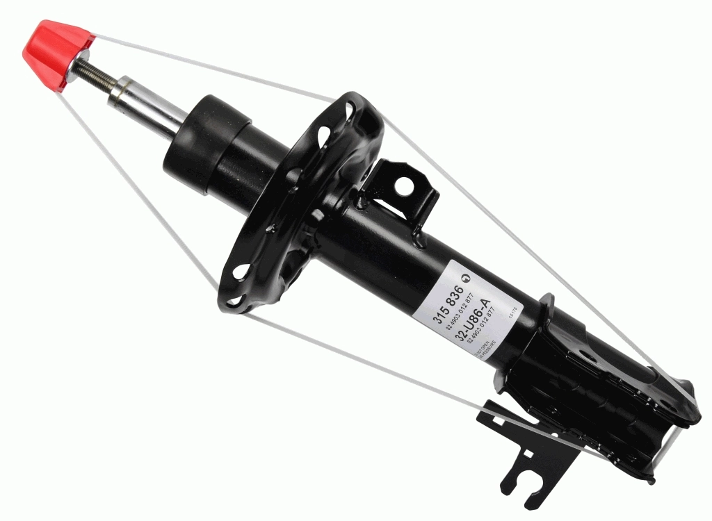 SACHS 315836