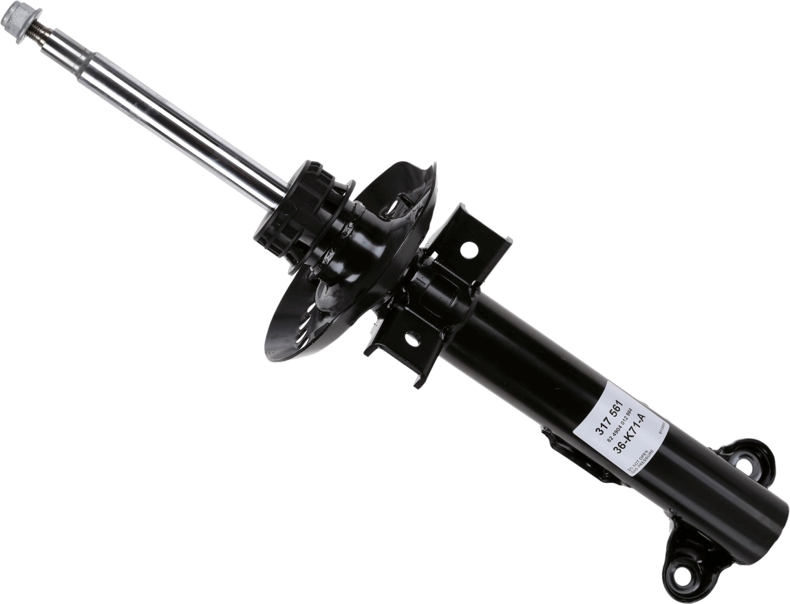 SACHS 317561