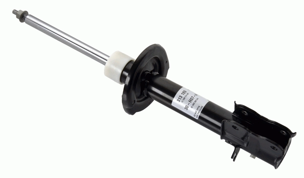 SACHS 313189