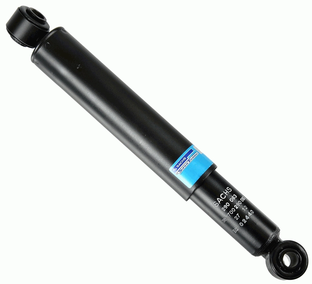 SACHS 290063