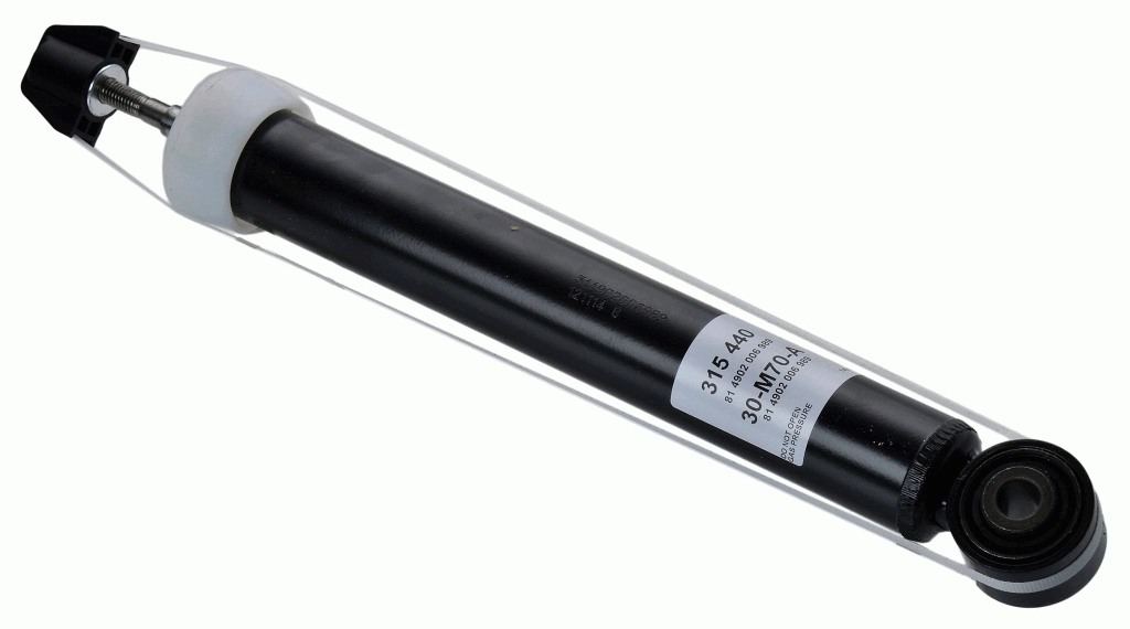SACHS 315440