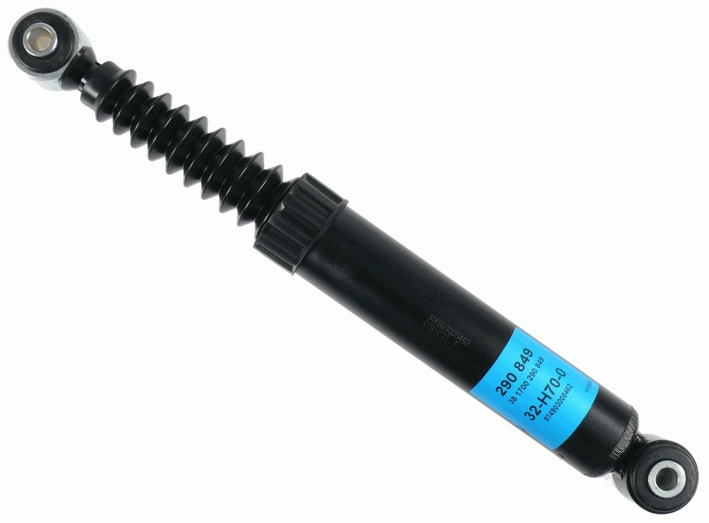 SACHS 290849