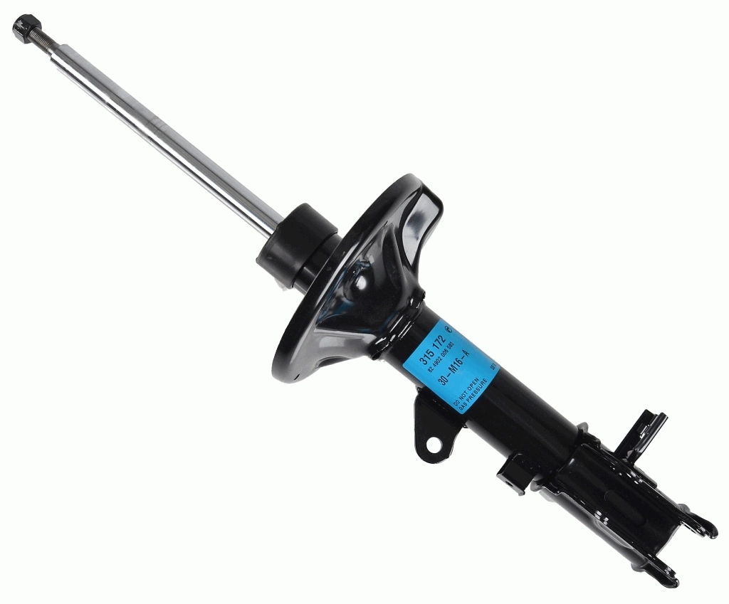 SACHS 315172