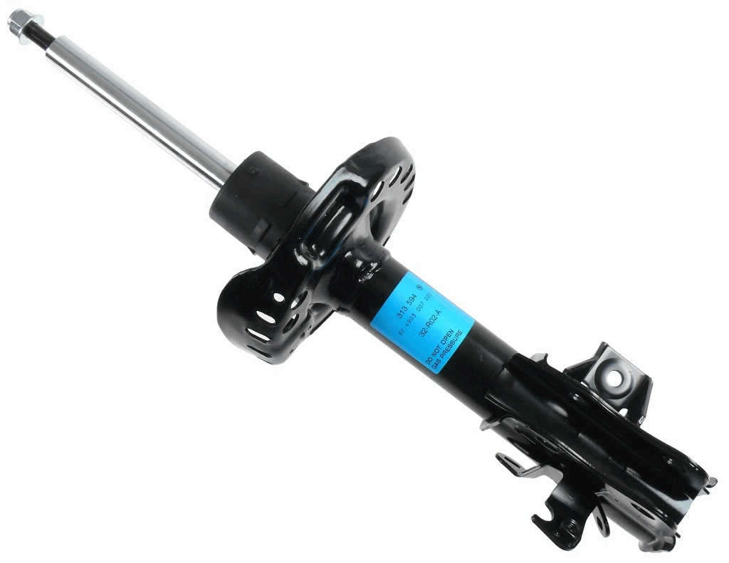 SACHS 313594