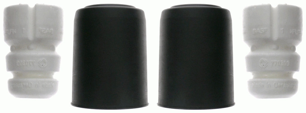 SACHS 900223