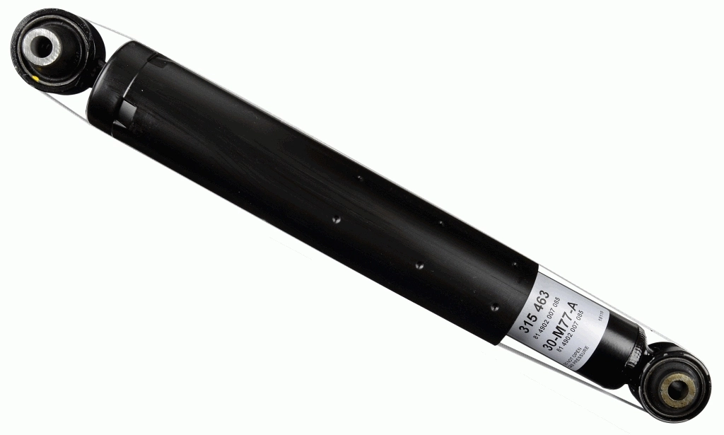 SACHS 315463