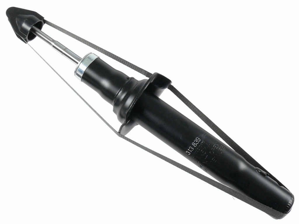SACHS 313839