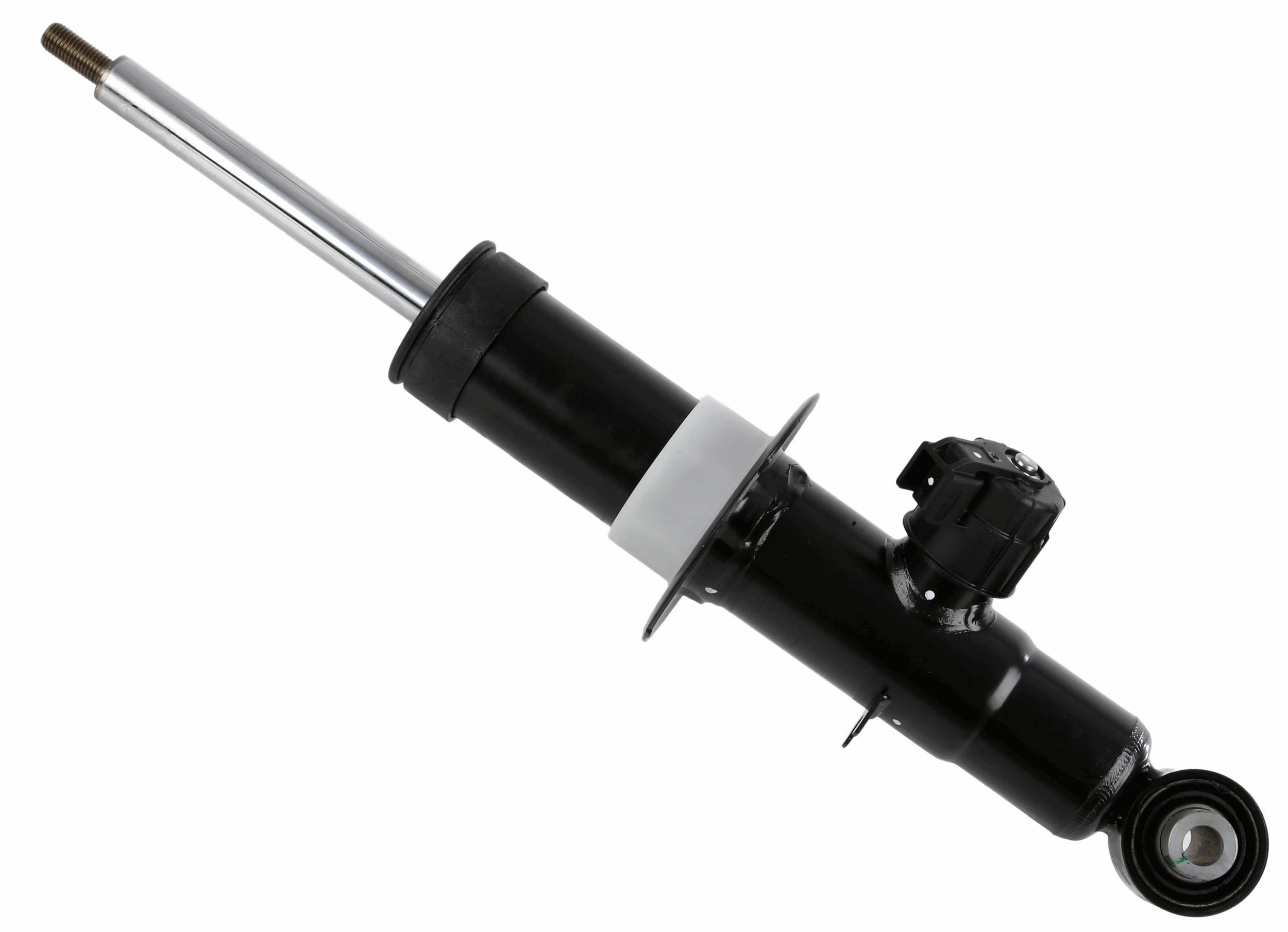 SACHS 319206