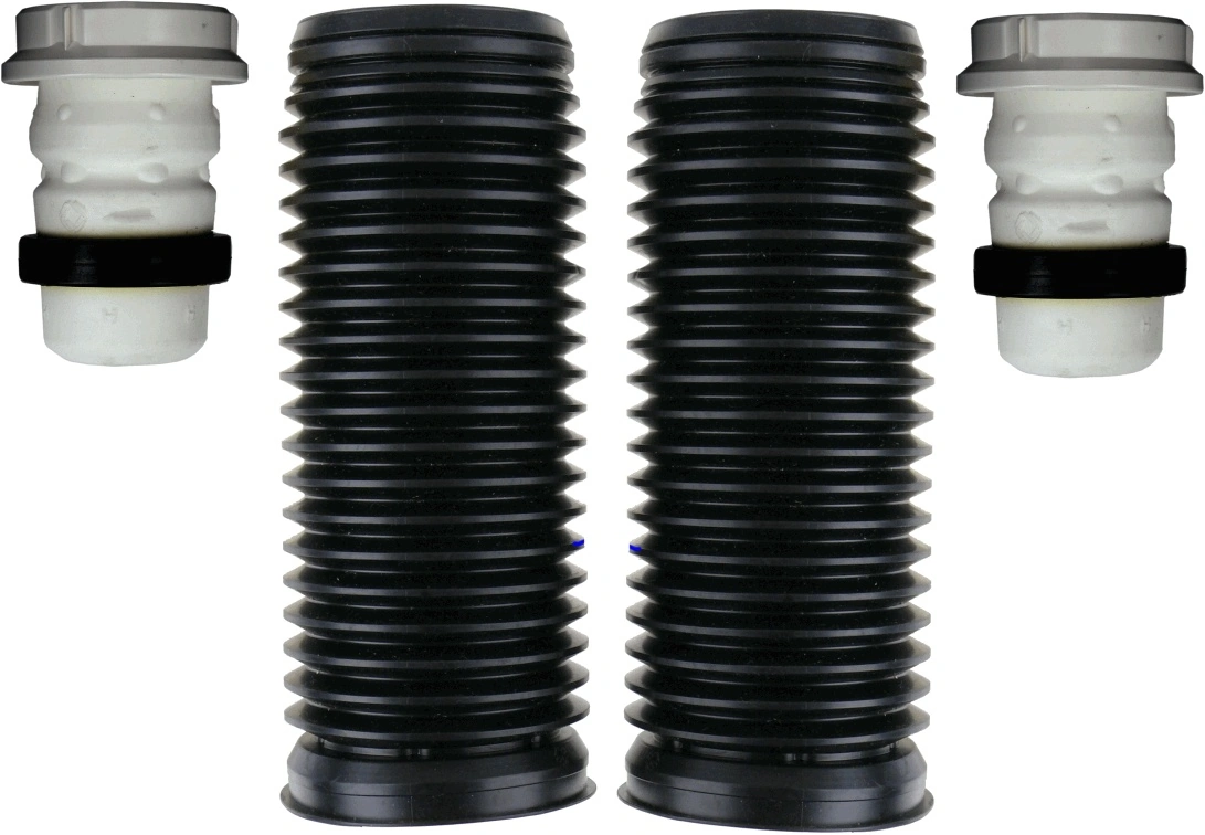 SACHS 900434