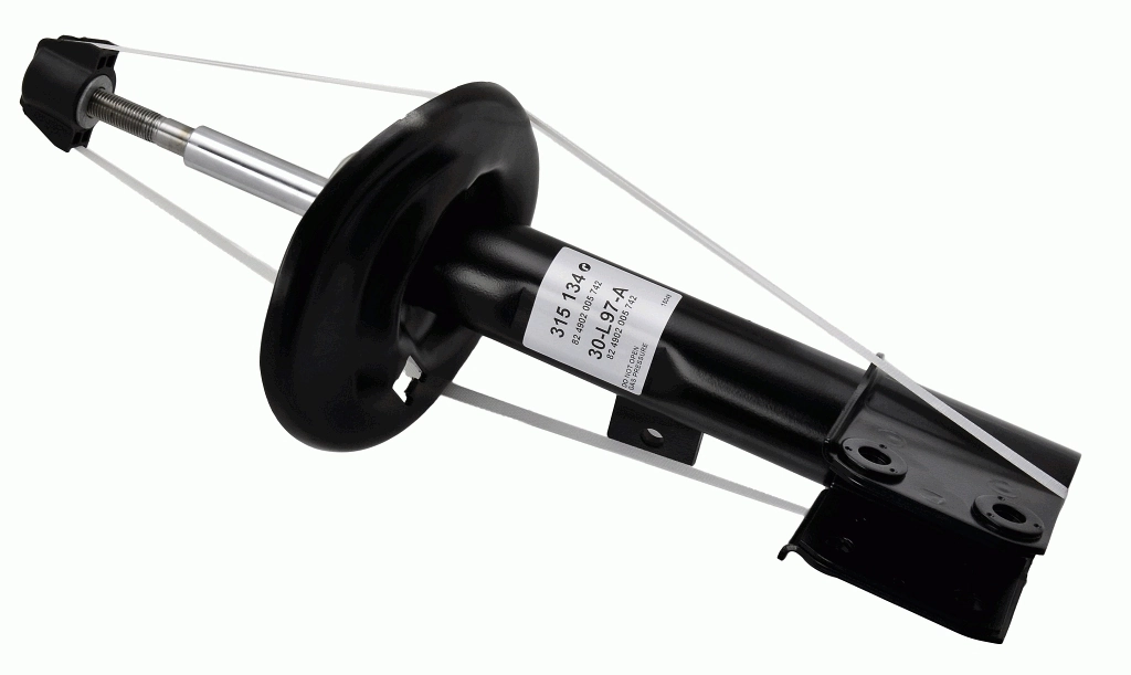 SACHS 315134