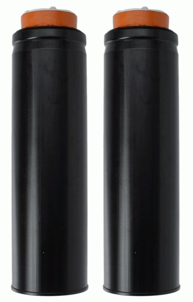 SACHS 900333
