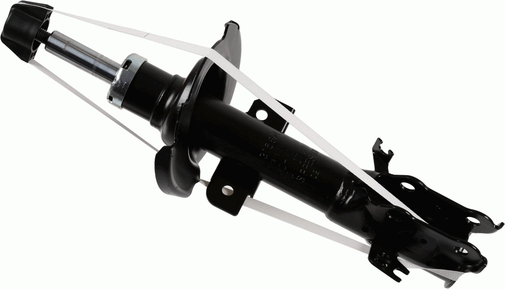 SACHS 316894