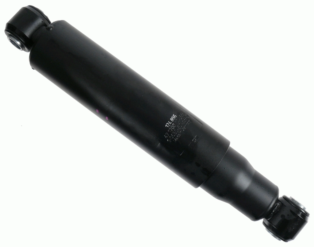 SACHS 124856