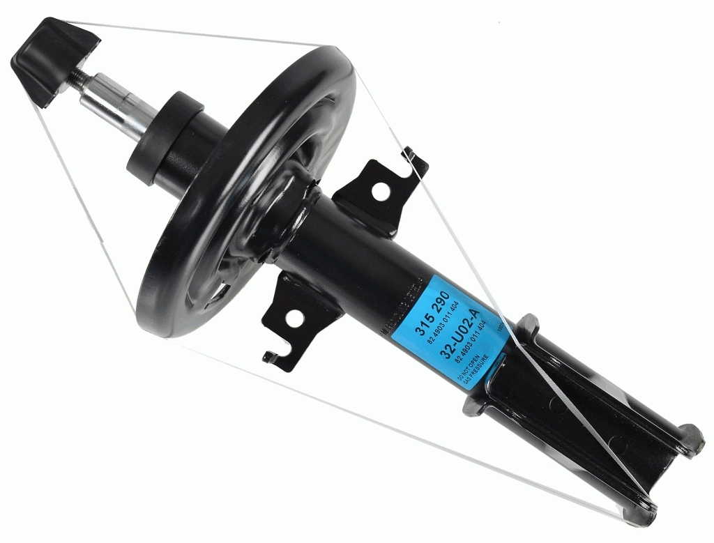 RAISO RS315290