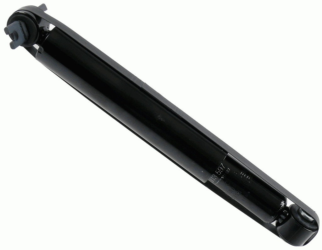 SACHS 313597