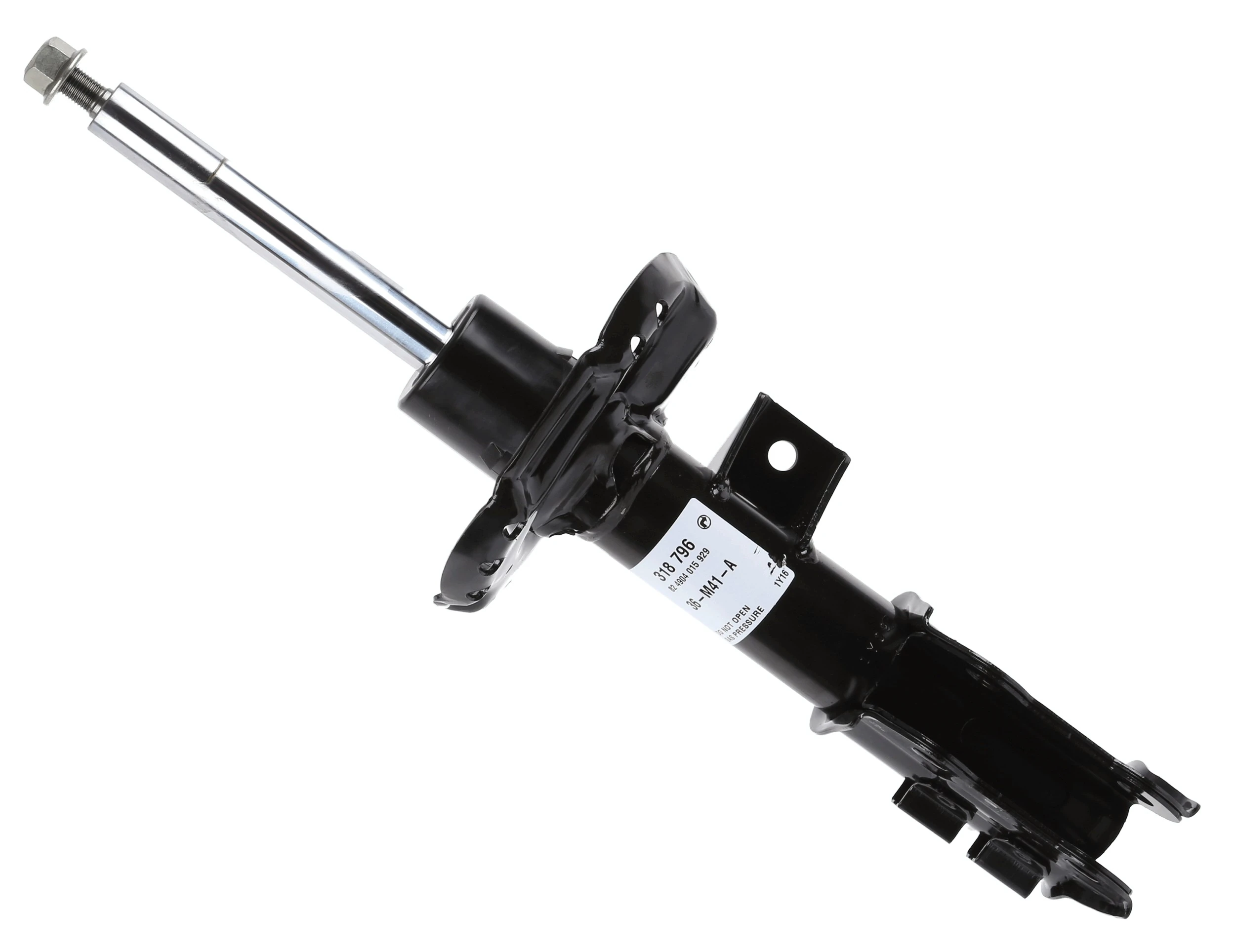SACHS 318796