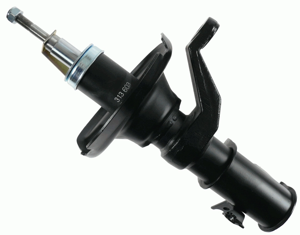 SACHS 313603