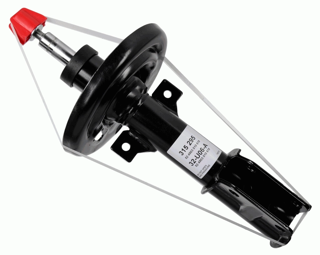 SACHS 315295