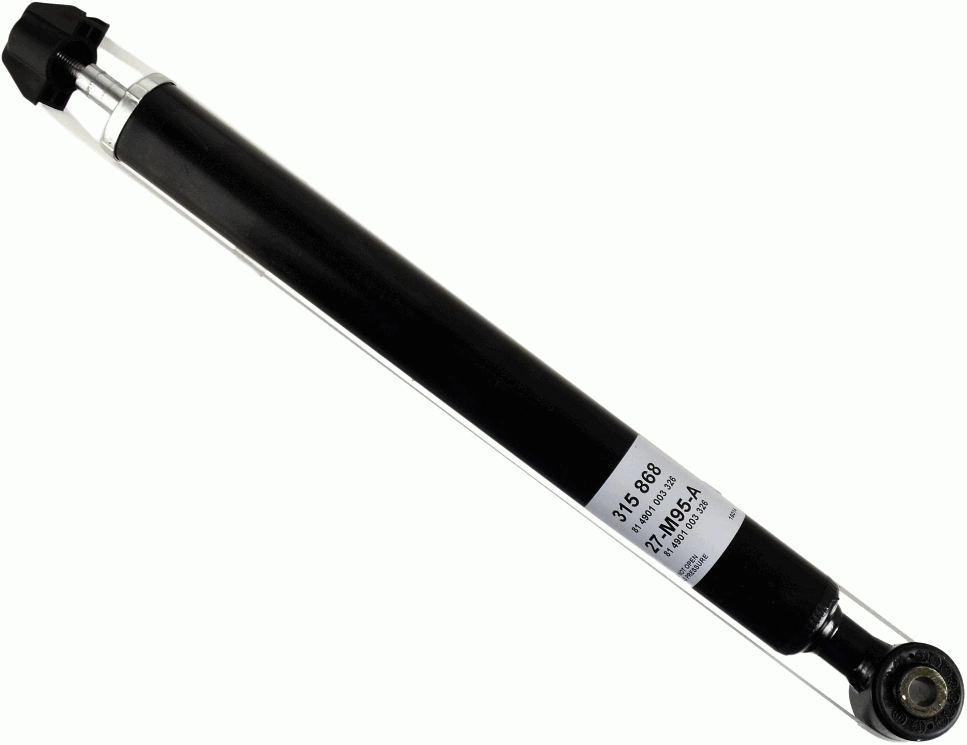 SACHS 315868