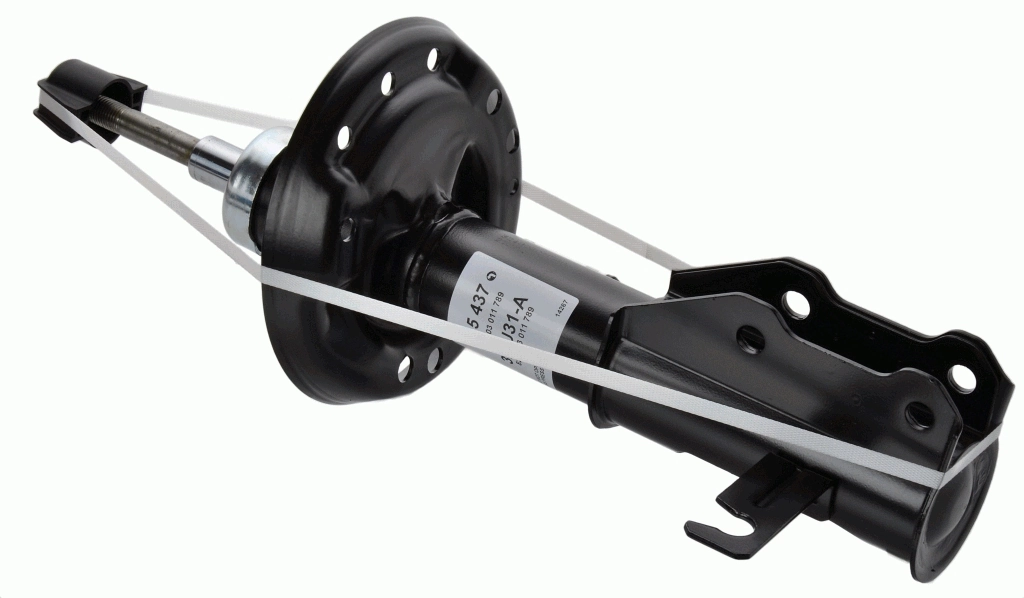 SACHS 315437