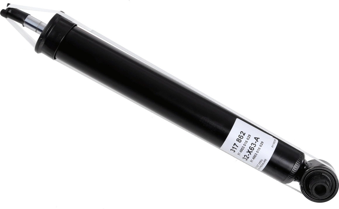 SACHS 317862