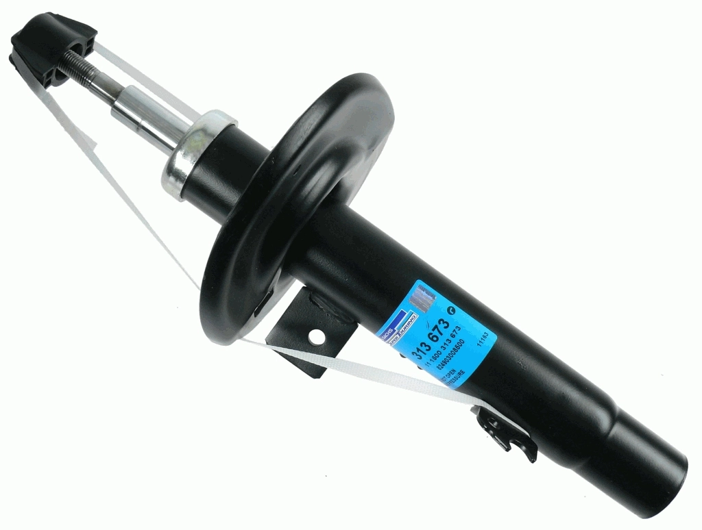 SACHS 313673