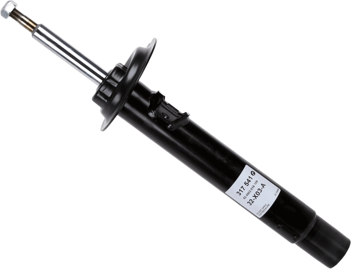 SACHS 317541
