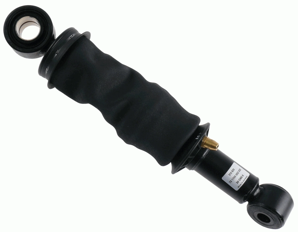 SACHS 310820
