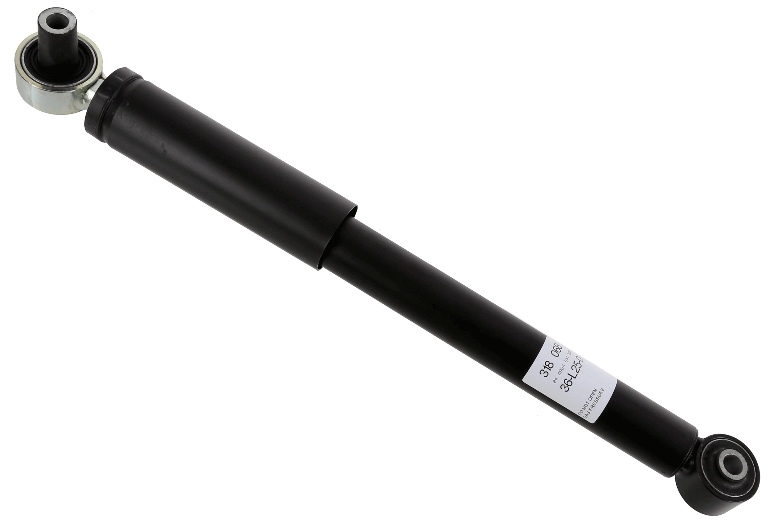 SACHS 318068