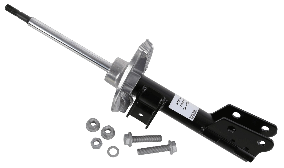 SACHS 318131