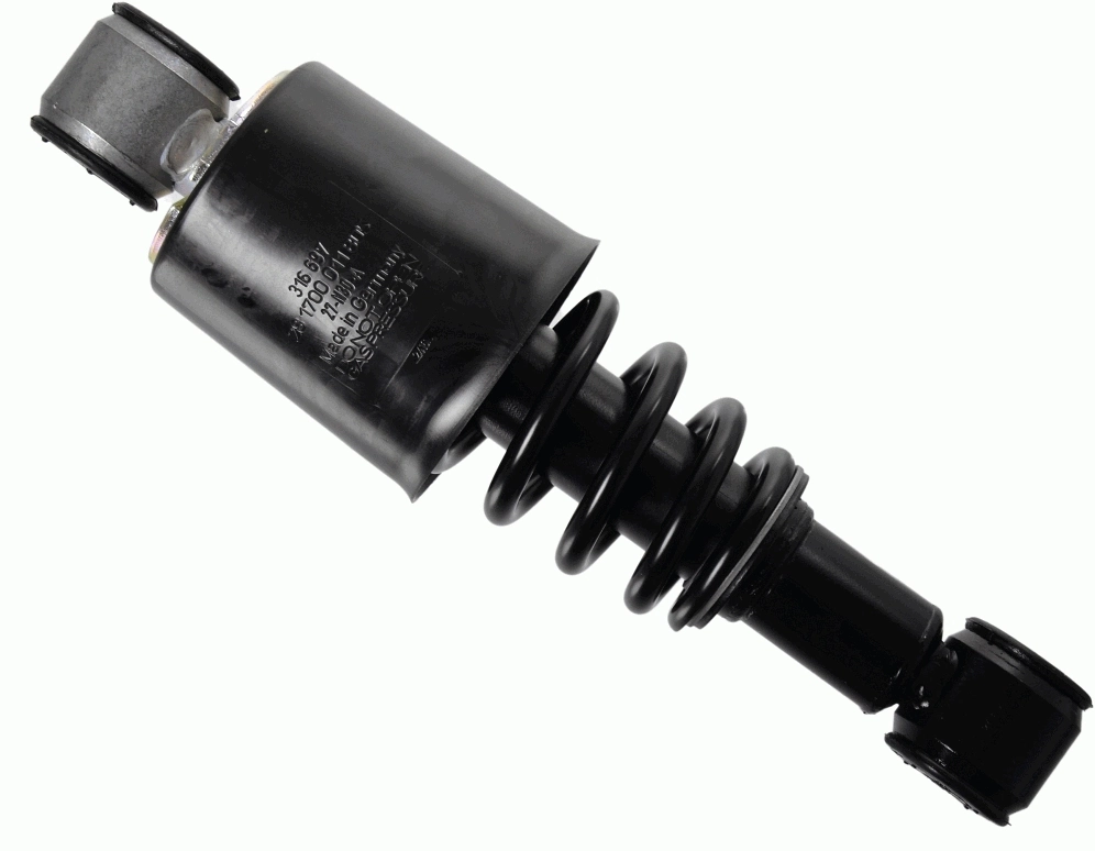 SACHS 316697