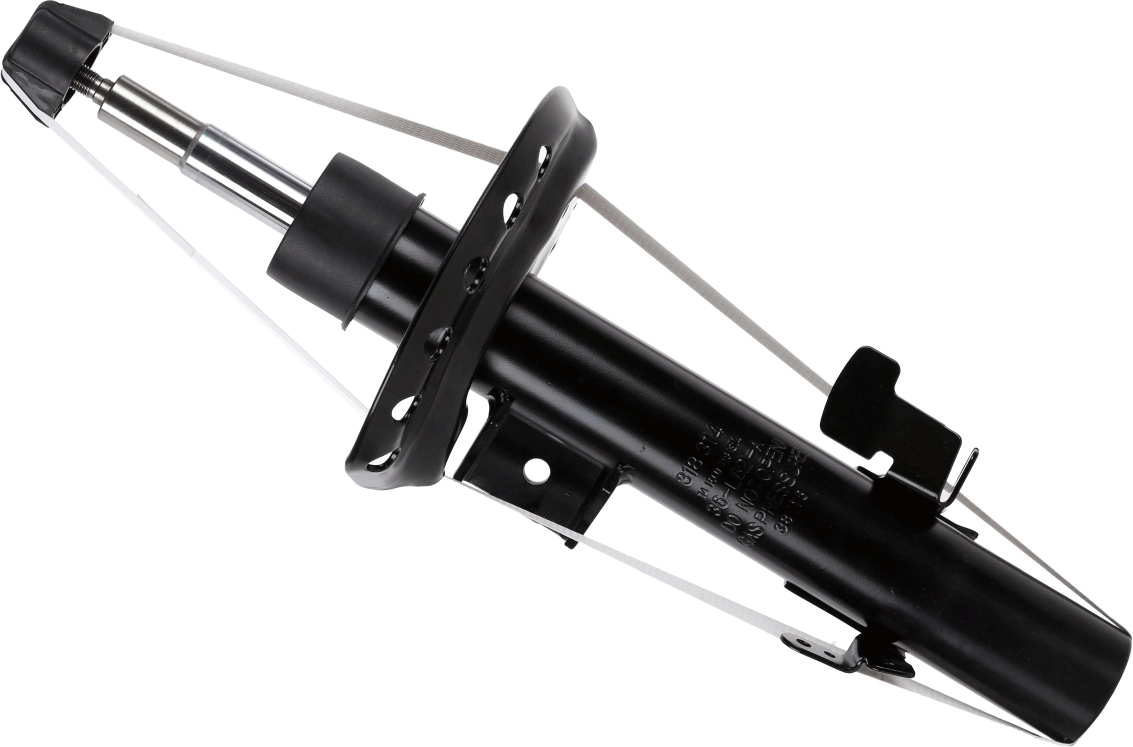SACHS 318314