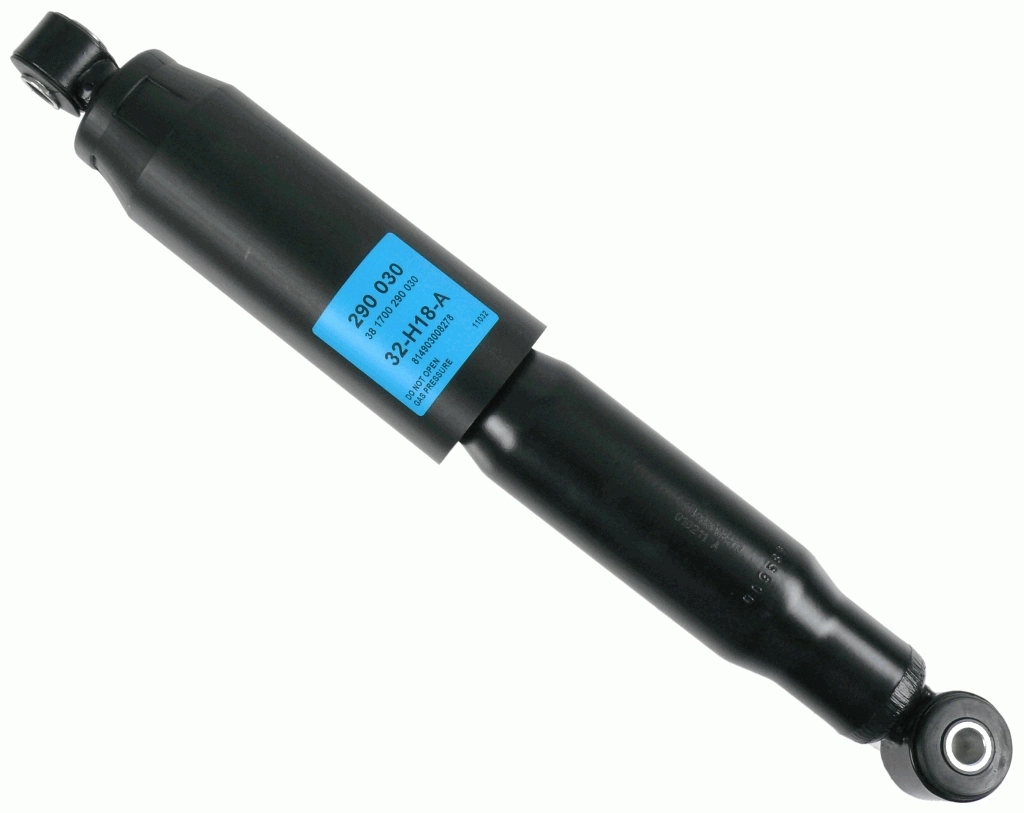 SACHS 290030